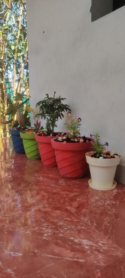 Mahabs Homestay Villa Mahabalipuram Exterior foto